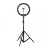 AYSL-12L-011