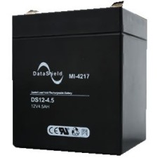 AMI-42171