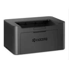 APA2000W1